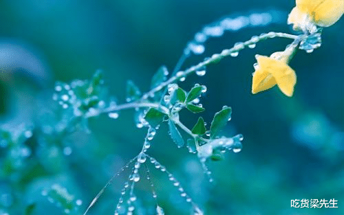 @天生丽质，是公认的“小仙女”，温柔大方，气质不凡的四大生肖女