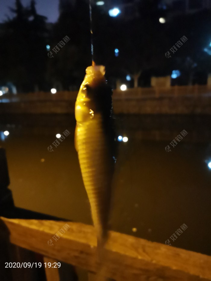 |再试自制跑铅子线 抗流水鱼获也可以