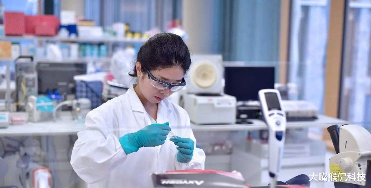 芯片▲谁拦住了国产芯片的崛起？不是光刻机也不是高通，任正非道出缘由