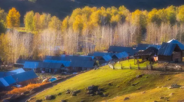 自驾|全国最早一波秋色来了！这6条自驾路线，9、10月美成天堂