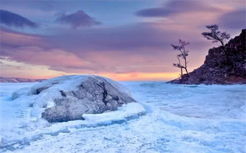 『科学家』科学家为长生不老，注射了350万年前的细菌，2年后出现了“奇迹”