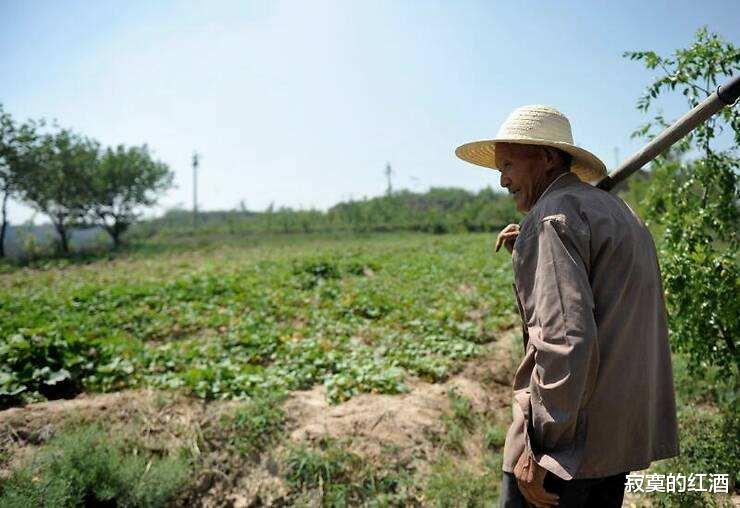 「」民以食为天，如果粮食危机来了怎么办