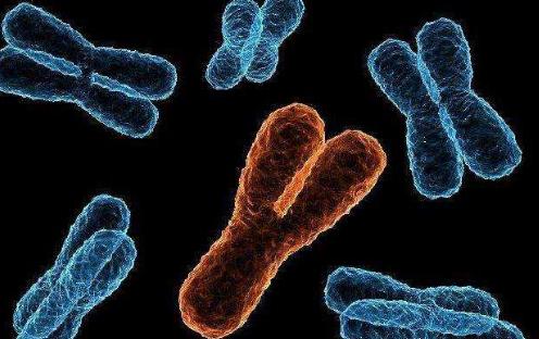 #染色体#科学家表示现代男性将会消失，可能出现“新男性”，比较女性化