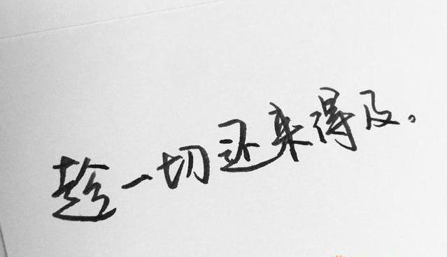 考试|文科上“600分”到底有多难?一张全国高考成绩单汇总告诉你答案