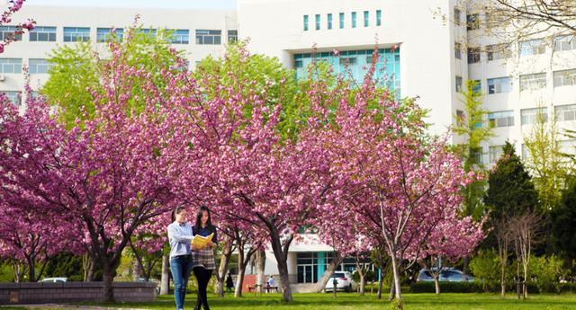 『石家庄铁道大学』最容易进“铁道系统”的4所普通大学!本科分数低,毕业有铁饭碗