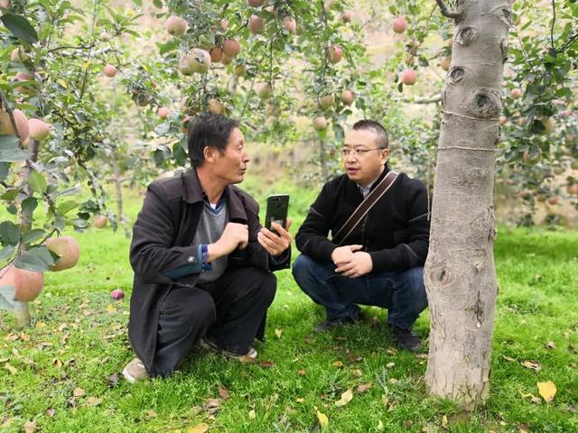 阿里巴巴|我在阿里工作13年,“财富自由”后做了个出人意料的决定