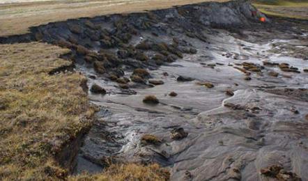 『科学家』科学家开始担忧，永冻土下的生命开始苏醒，或对人类社会造成影响