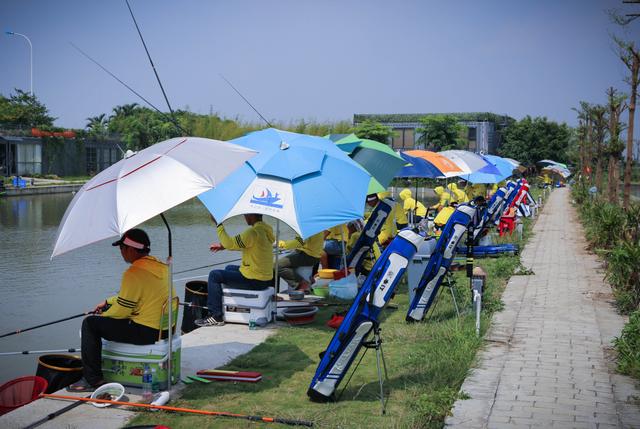 「鱼塘」看钓鱼高手如何征服黑坑，中鱼率100%！黑坑老板要求删除