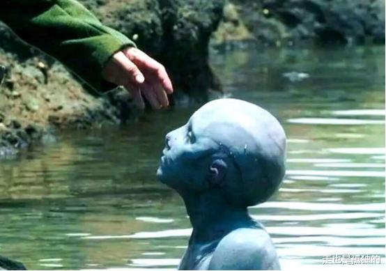 科学家|终究是瞒不住了!日本欲进行“人兽实验”,即将诞生新物种?