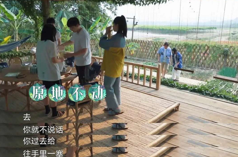 「张子枫」《向往的生活》张子枫不适合综艺？陶虹说了一句话，观众茅塞顿开