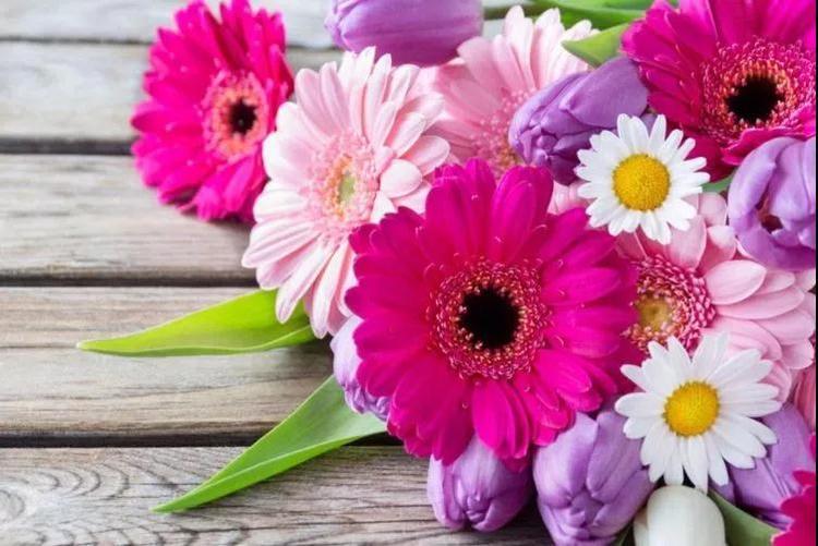 「生肖」长得非常“迷人”的三个生肖女，就算人到中年也依然美丽大方