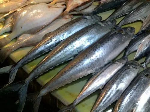 ：买鲅鱼时，遇到这5种赶紧掉头就走，海鲜老板也从不让家里人吃！