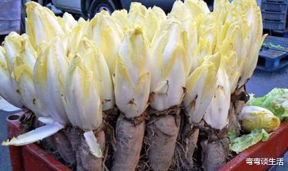 痛风|3种海鲜堪称“嘌呤王”，不想惹上痛风，尽早戒掉不吃