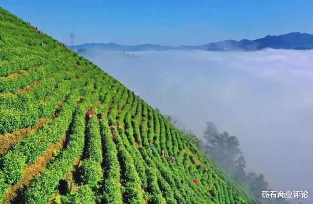 丹寨|一个默默无闻的贫困县，一座隐逸在大山深处的小小县城，为何就成了度假天堂？