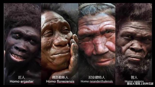 『智人』数十万年前,地球上至少有十几种人类,为什么最终只剩下了智人?