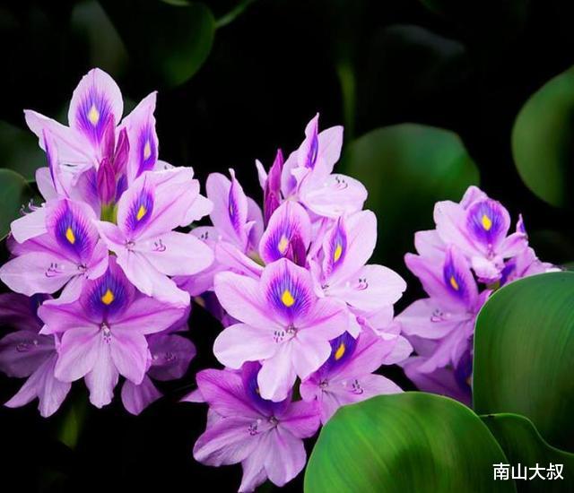 「」“做人无趣，如见死鱼”：无趣之人，有这四大特征，你有吗？