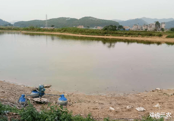 戏说三农|9月起，3类乱占地行为或被集中整治！全部与耕地相关，有你家的吗