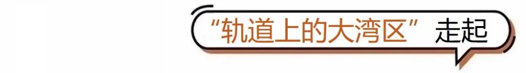 广东共青团|定了！高铁通澳门轻轨，地铁连起穗佛莞