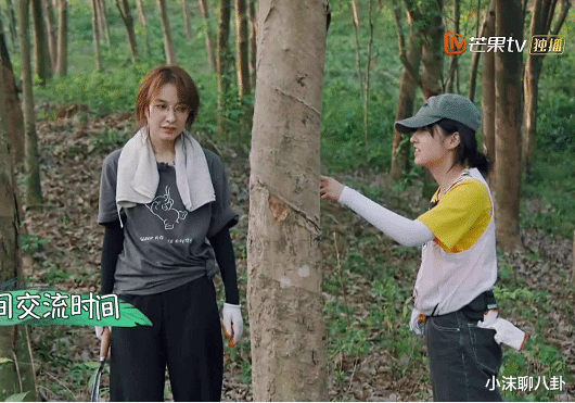 吴昕|继吴昕后，《向往的生活》又迎来重量级嘉宾，连出场方式都不一样