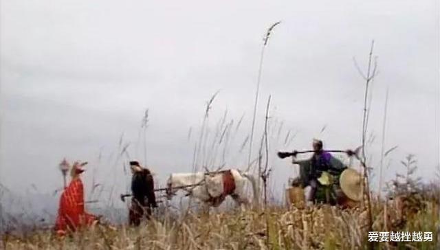 杨洁@1997年,白龙马惨死马棚,杨洁泪崩,尸骨无存背后是人性的丑恶