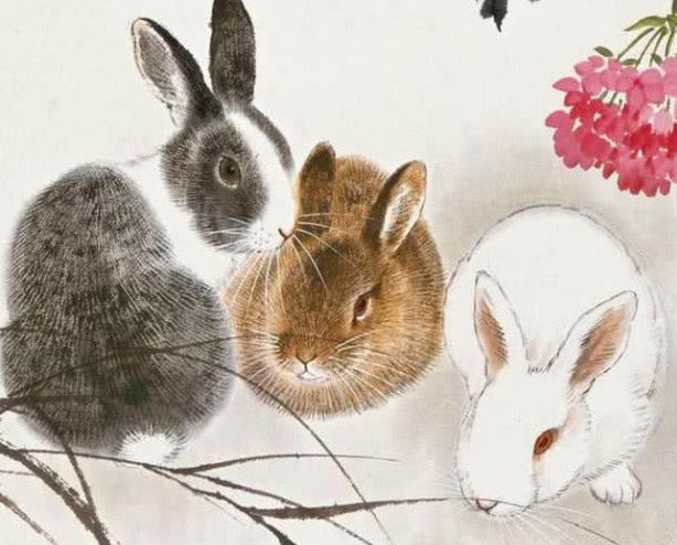 『属兔』偷偷告诉你：“兔人”3月有大“鸿运”，花一分钟接住