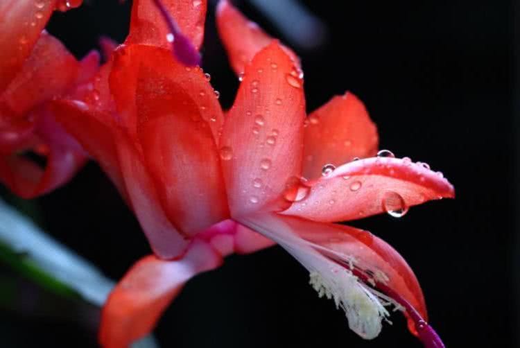 #健康运势#6月下旬开始不用为钱烦恼，事业兴旺，日子越来越富贵的四大属相