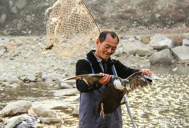 锵锵文史局 东北农民捡140斤太岁，卖了300万，后来凭养鸡又入百万