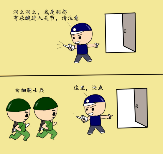 尿酸|年纪轻轻就有痛风，这到底是个啥毛病