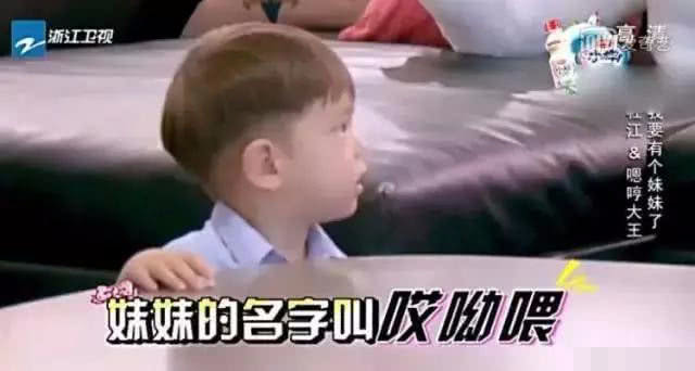 向佐|杜江霍思燕评论区沦陷，网友质疑女儿代孕一事，两口子闭口不谈！