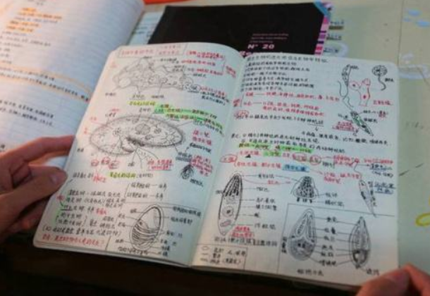 『学霸』学霸学习累了，会干什么？学渣：上课睡觉半夜刷题