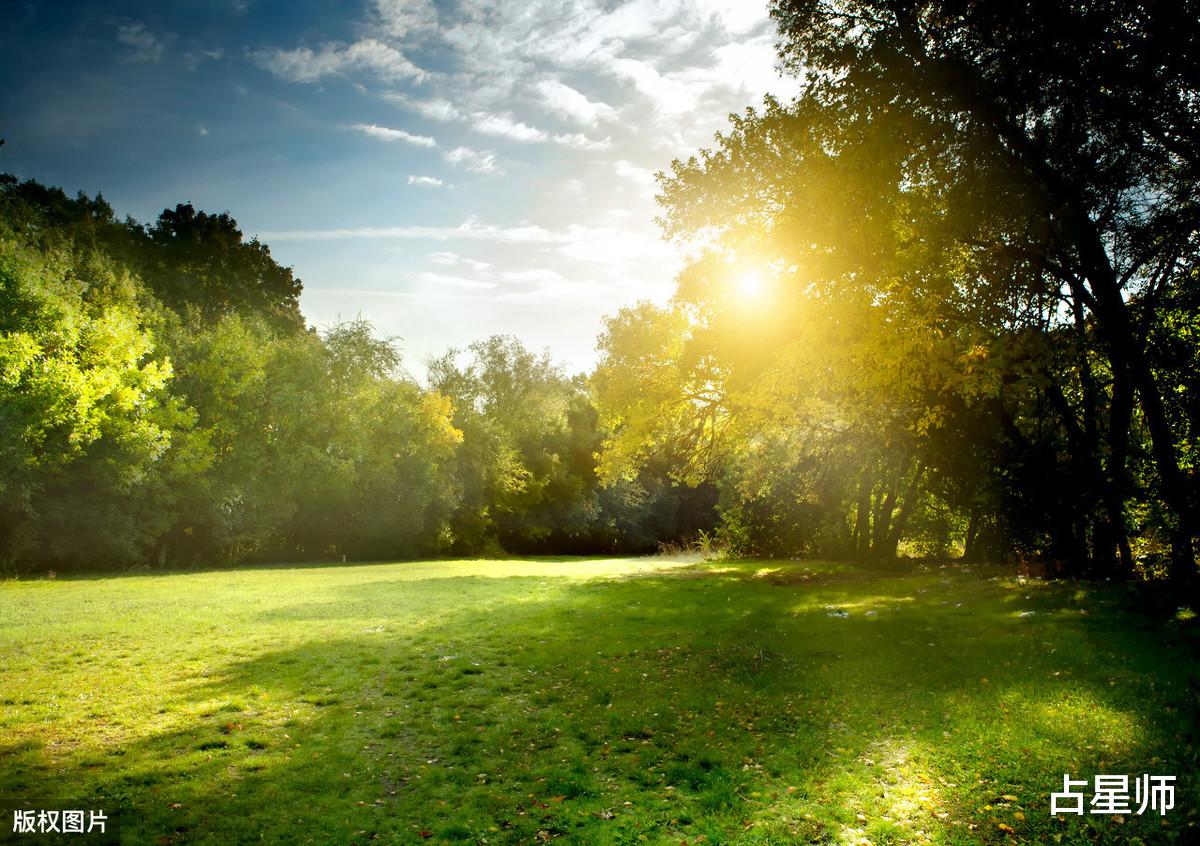 「生肖」（周运）竹猫塔罗_5月12日至18日星座运势：风云激荡