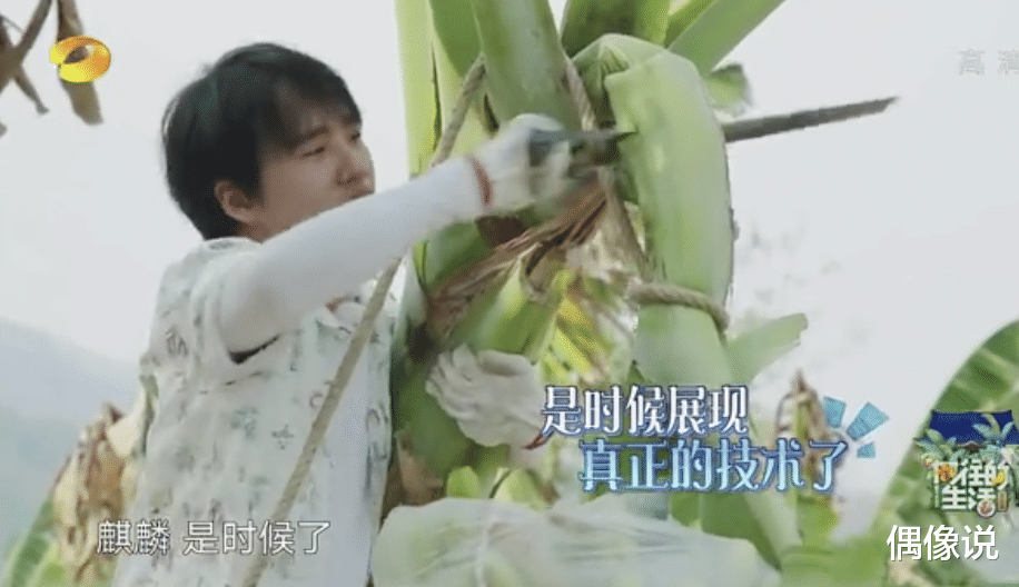 「张子枫」张子枫把自己喝过的牛奶倒给郭麒麟，黄磊露出熟悉的表情，扎心了