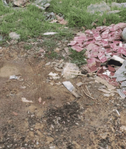 |野外钓鱼钓上来这么个玩意，大家帮忙看看这是什么东西。能吃吗？