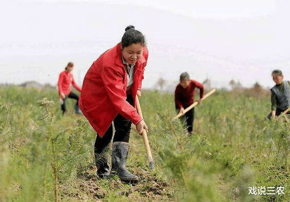 出嫁女■农村7月出新规?出嫁女的好福利要来了?3个好消息,你期待哪个?