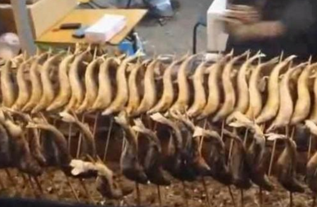 |大姐一年四季卖“它”，4元一条，路人嫌脏，顾客：不吃别碍事！