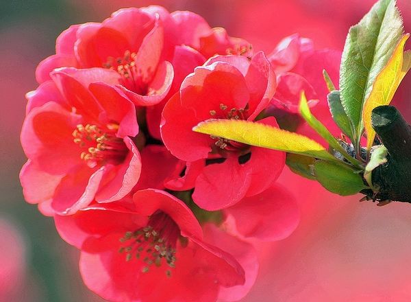 运势|未来一个月,运势上涨,4属相富贵涨不停,事事如意,大吉大利