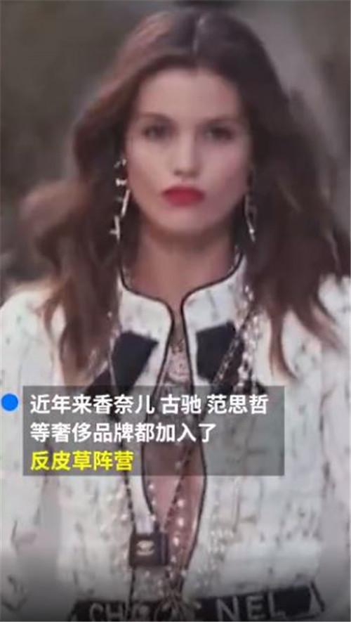 鳄鱼|爱马仕将在澳洲建最大鳄鱼养殖场 约5万只鳄鱼将用于供应皮革，网友呼吁重新考虑