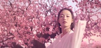 【张震】盘点那些丑出天际的古装
