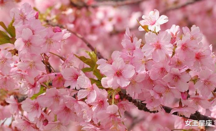 生肖|7月7号好运在即，迎来曙光，好事纷呈，与幸福不期而遇的3大属相