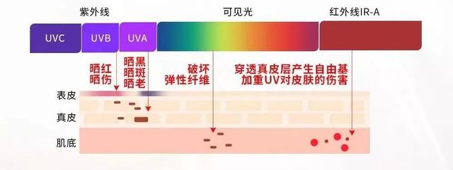 『宋轶』宋轶白到自带滤镜，说出美白方法很靠谱，比一年敷700张面膜有用