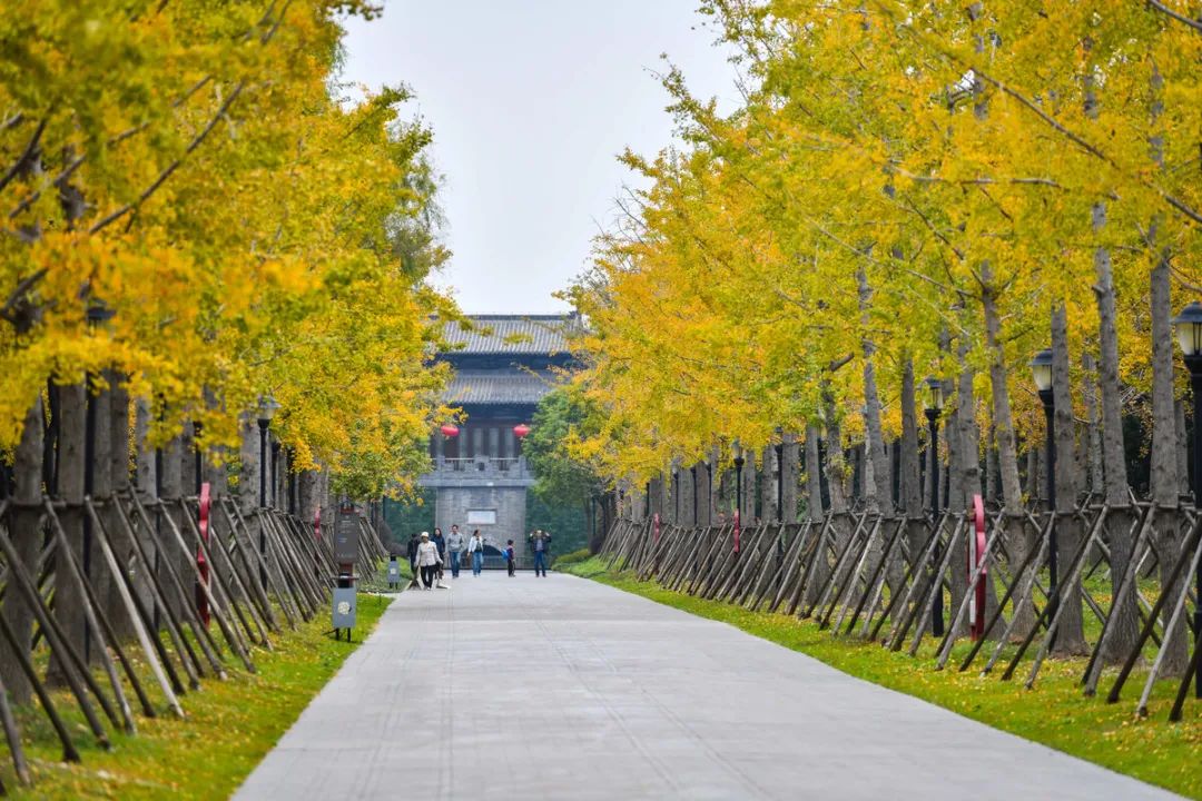 无法抗拒|比苏州秀美！原来它才是江南秋景第一，正适合去过几日慢生活！