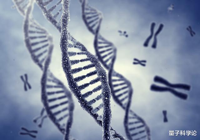 『』它是地球上现存与龙最像生物,可以7年不动不吃,12年交配一回