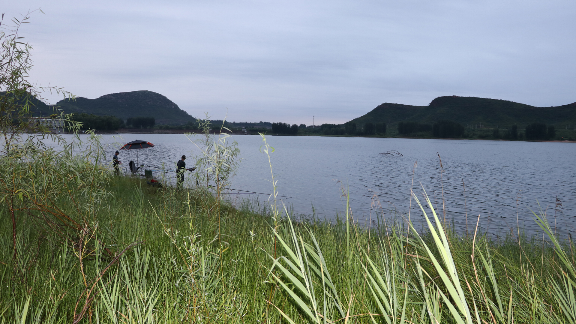 饵料|看看风向风力，今天适合钓鱼吗？无师自通有答案