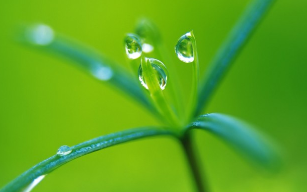 生肖|不瞒你说：7月下旬，喜笑眉头，发财享富贵，富贵无忧的生肖