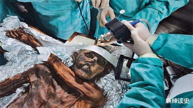 木乃伊|五千年前的冰人谋杀案，被害者47处纹身携带兴奋药，是什么身份？