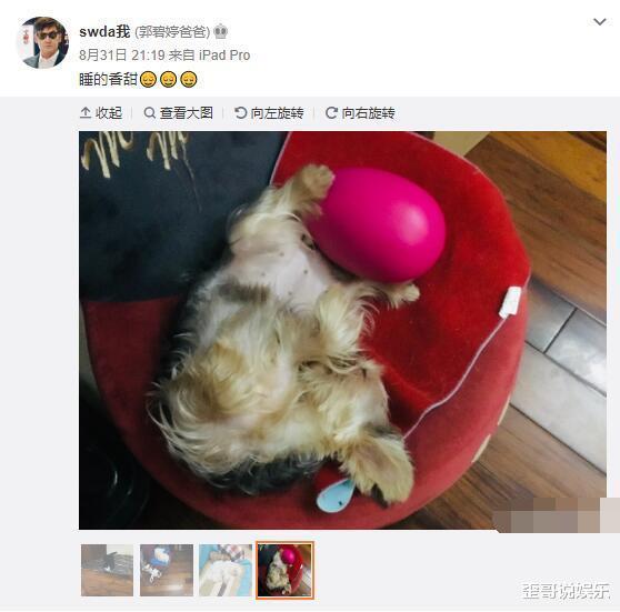 郭碧婷|向佐终于回台湾陪郭碧婷了？郭爸发一动态，女婿赶紧点评表明态度