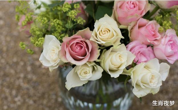 生肖|9月下旬，财神入宅，门庭兴旺，4生肖事业步步高升，富贵挡不住