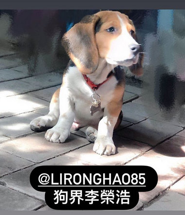 杨丞琳|前男友去世1个月后，杨丞琳自曝对他「余情未了」：对不起，我装不下去了