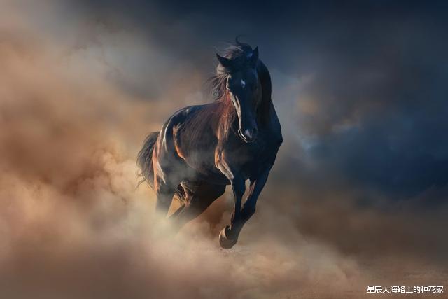 |人为什么要给马钉马掌,而野马却不需要?钉在马蹄上,马不疼吗?