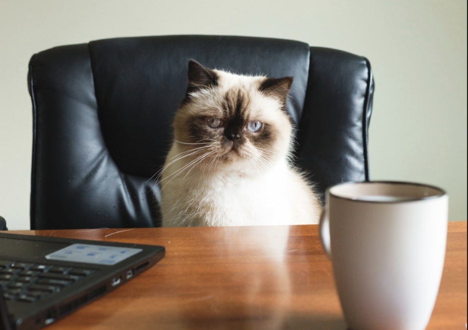 空调|一分钟读懂什么是商业？商业从哪里来到哪里去（精华）